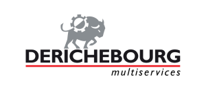 DERICHEBOURG logo